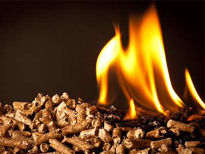How To Start Biomass Wood Pellet Business