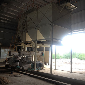 Biomass pellet line in Viet Nam
