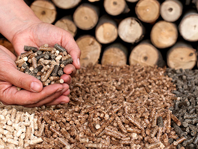 Biomass energy prospect