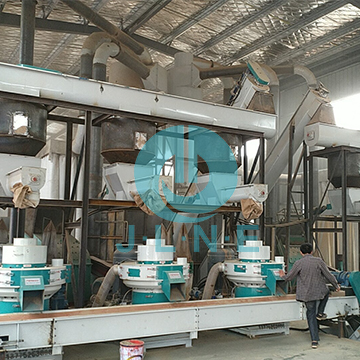 5T per hour wood pellet line